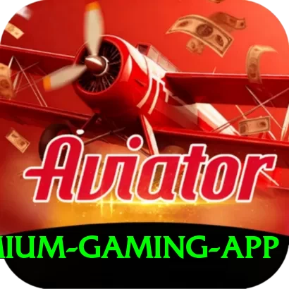 betandyou88.pk Premium Gaming App - 2