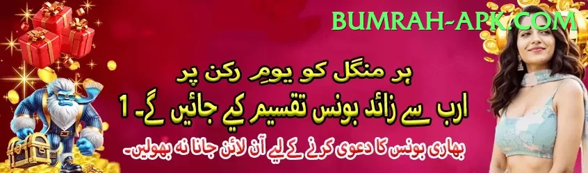 Bingo Patti - Mega Earning App Screenshot 2